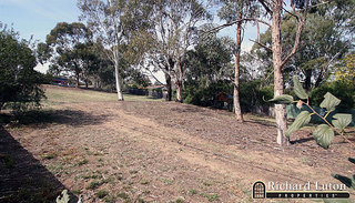 View to Reserve (2007-04-11)