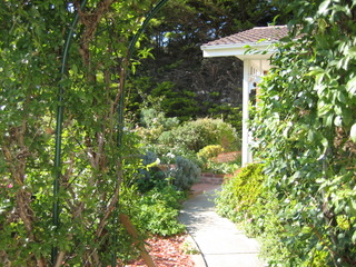 Standard Photo (2012-07-09)