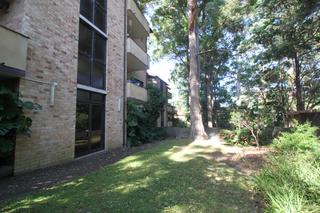 front + garden (2016-08-01)