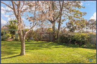 Rear yard (2014-08-01)
