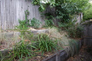 Rear Courtyard (2011-04-12)