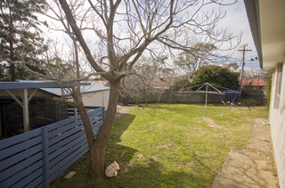 Backyard (2009-07-20)