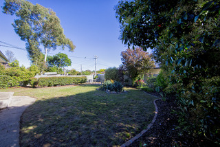 Right side yard (2013-11-14)