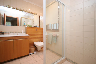 Bathroom (2009-02-25)
