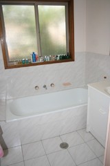 Bathroom (2012-05-17)
