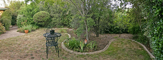 Backyard (2009-12-01)