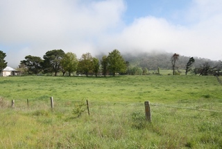 Front Paddock (2010-10-13)