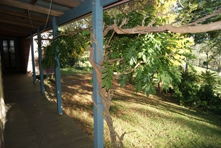 Verandah (2011-05-07)