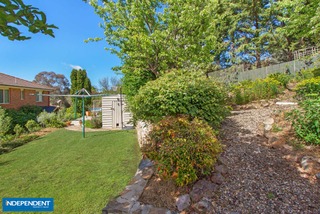 Backyard (2014-10-09)