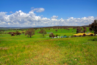 Rear Paddocks (2010-10-27)