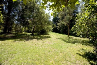Standard Photo (2016-07-22)
