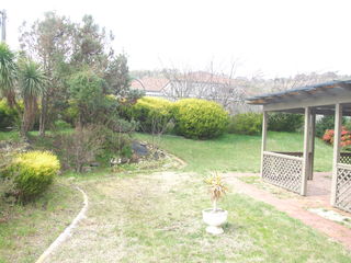 Backyard (2016-09-01)