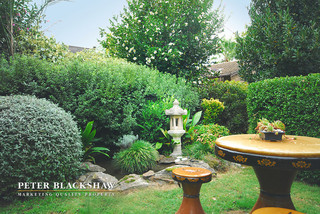 Back Garden (2015-03-30)