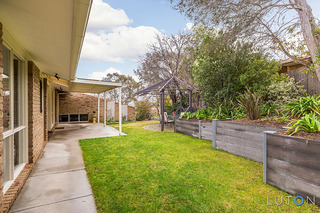 Rear Yard (2015-07-27)