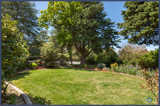 Front Garden (2012-10-18)