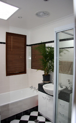 Bathroom (2009-10-29)