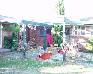 Backyard (2005-06-17)