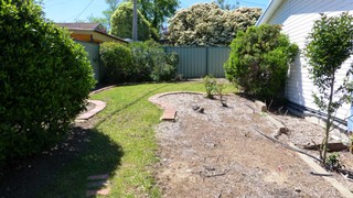 Backyard (2014-10-18)