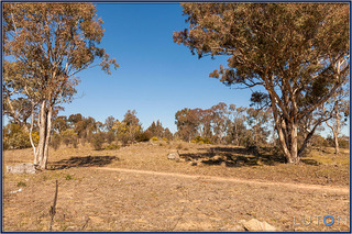 Reserve behind (2014-09-16)