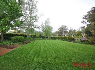 Frontyard (2014-02-18)