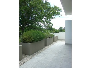 South Terrace (2013-02-04)