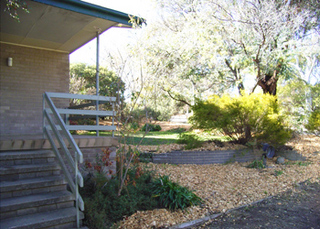 Front garden (2004-07-15)