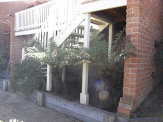 Under Back Deck (2012-01-11)