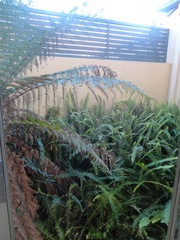 Garden (2013-08-02)