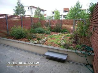 Courtyard (2011-01-05)