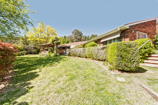 Rear yard (2011-10-13)