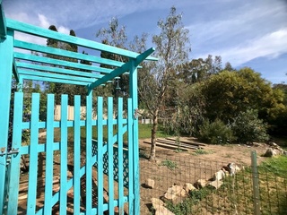 (2017-10-21)