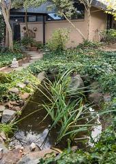 Pond and path (2013-05-09)