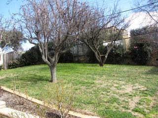 Rear Garden (2010-08-26)