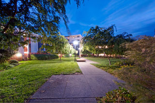 Internal Gardens (2011-10-27)