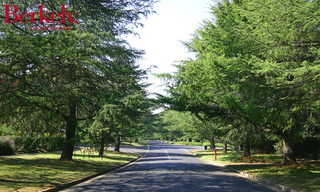Streetscape (2007-04-27)
