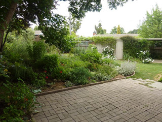 Backyard (2016-08-09)