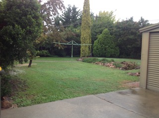 Backyard (2014-03-27)