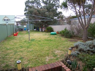 Backyard (2008-06-12)