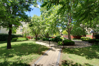 Standard Photo (2015-08-05)