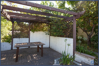 Backyard (2016-04-07)