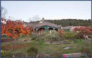 Garden (2011-05-11)
