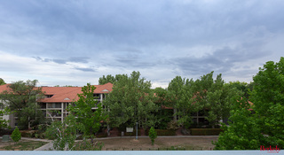 Standard Photo (2019-04-15)