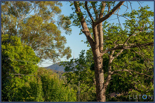 Views (2013-11-13)