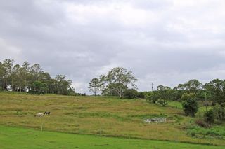 (2013-06-06)
