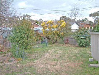 Backyard (2006-08-24)
