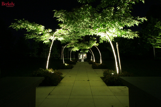 garden (2007-10-26)