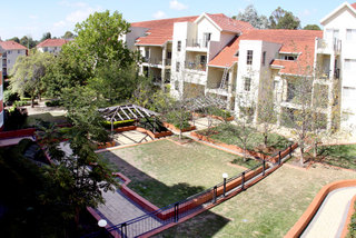 Garden (2008-06-18)