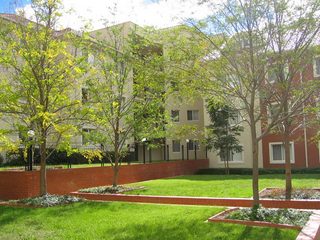 Garden (2007-03-27)