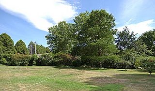 Rear garden (2004-02-12)