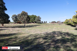 Grazing Paddock (2019-06-24)